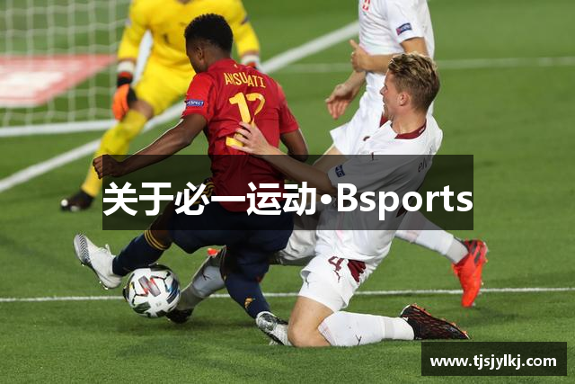 关于必一运动·Bsports